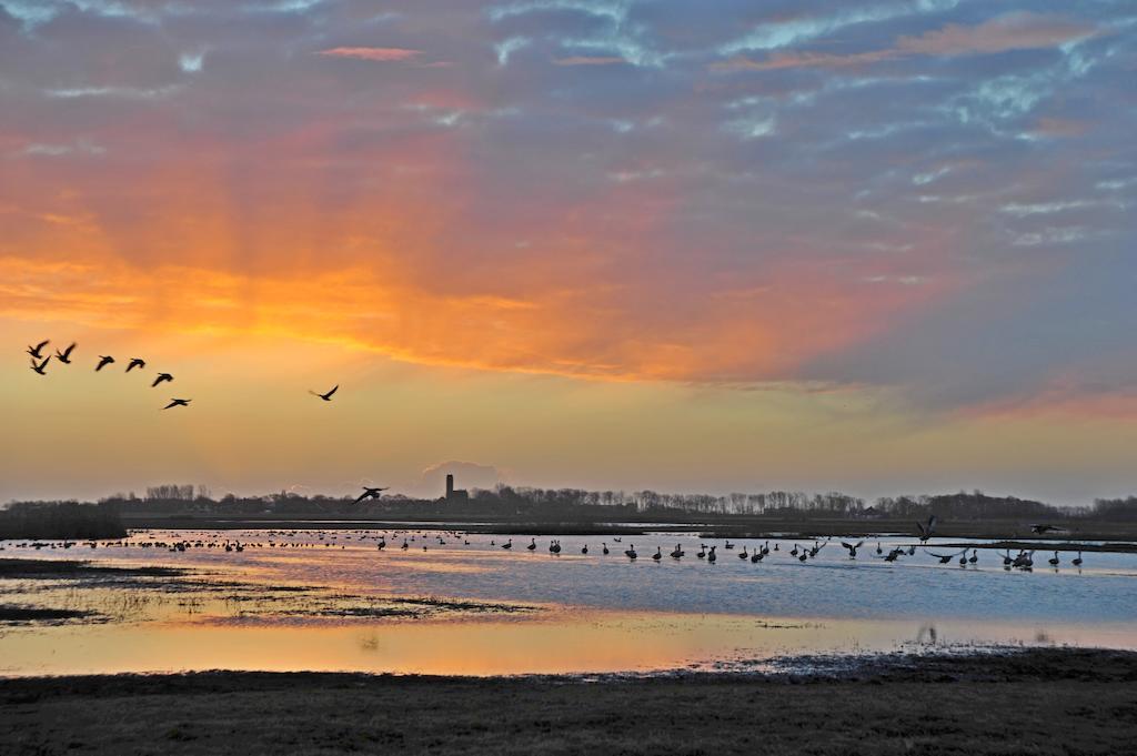 Bed and Breakfast Witte Weelde Texel Де-Коог Экстерьер фото